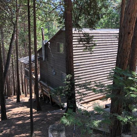 Sequoia National Forest Cabink Panorama Heights Exterior photo