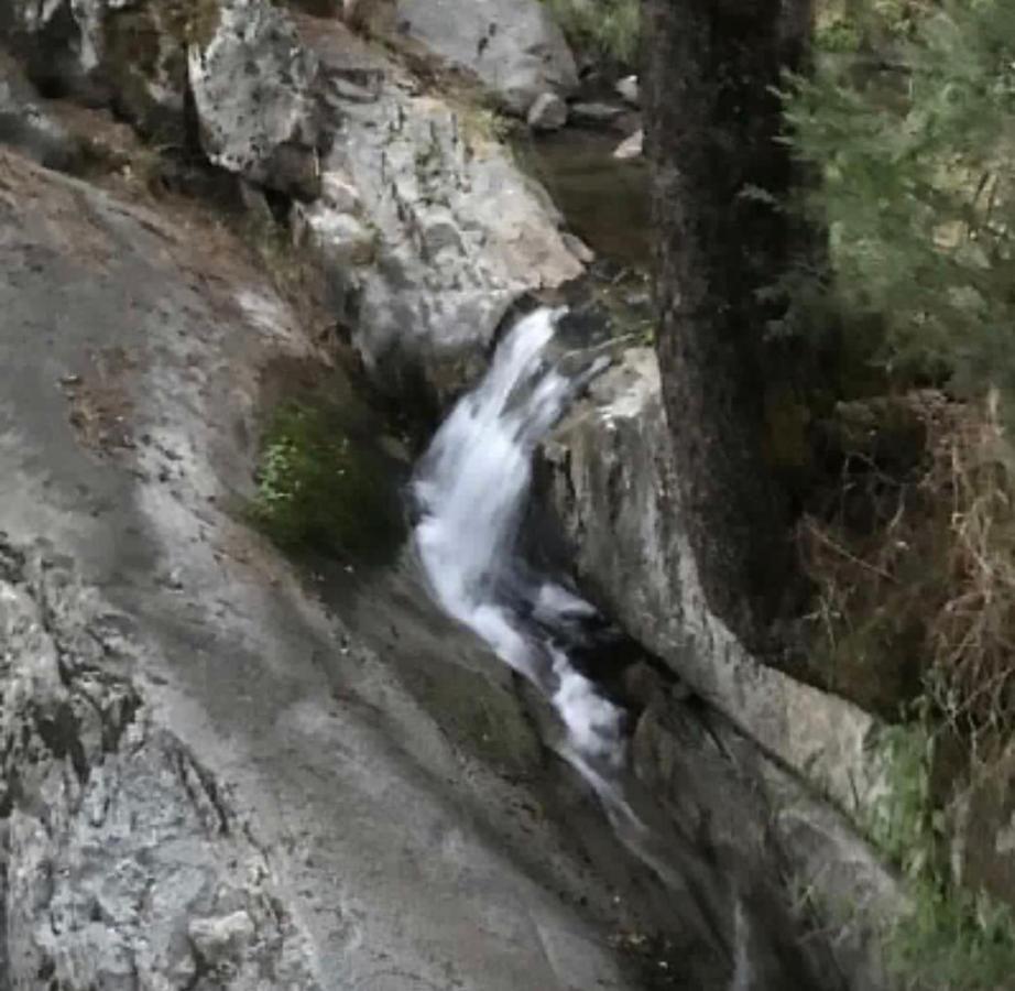 Sequoia National Forest Cabink Panorama Heights Exterior photo