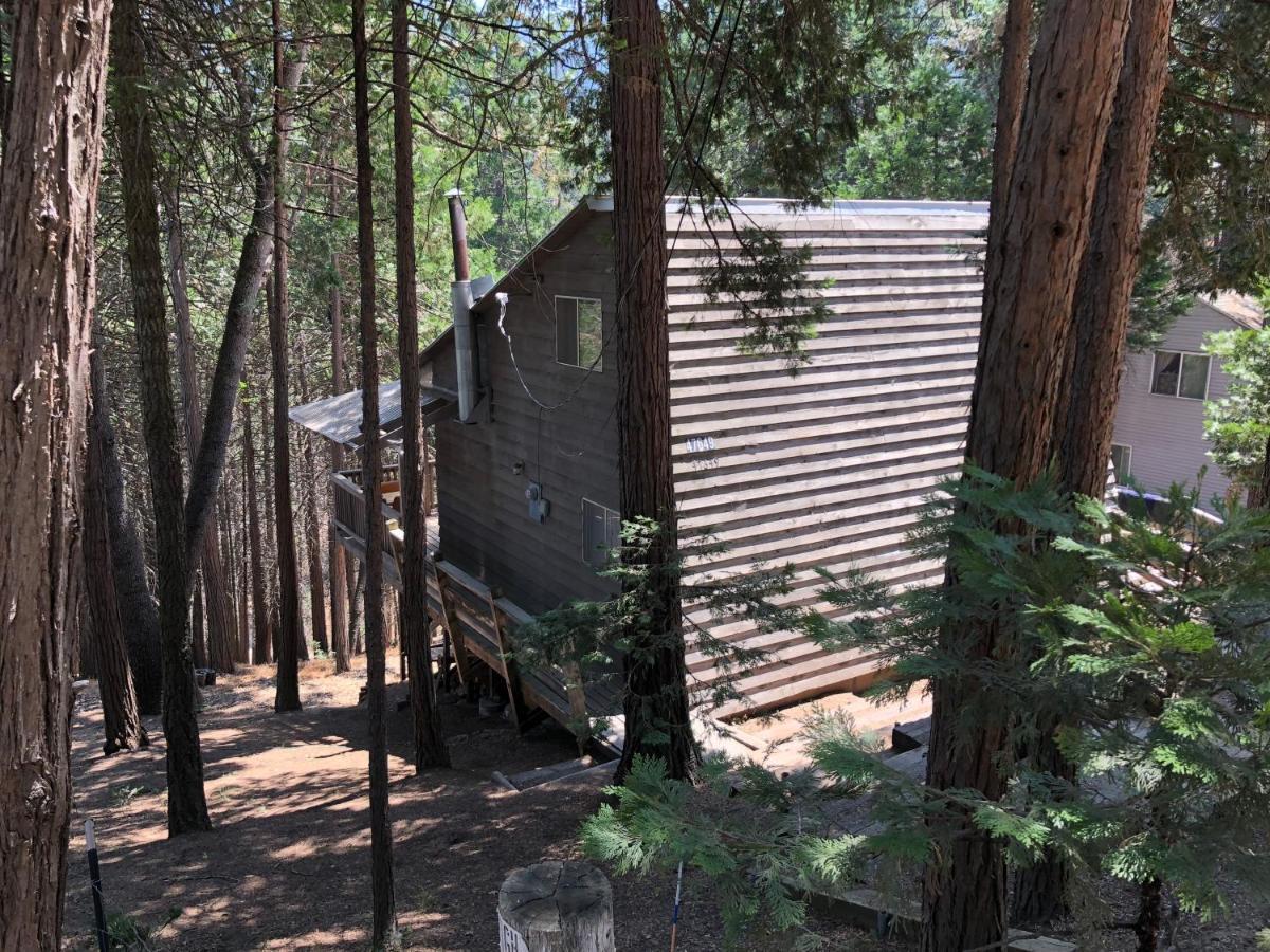 Sequoia National Forest Cabink Panorama Heights Exterior photo